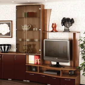 ผนังสำหรับทีวีในการออกแบบภาพห้องนั่งเล่น