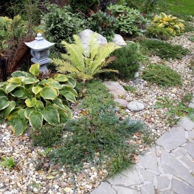 ไฟฉายสวนหลังพุ่ม Hosta
