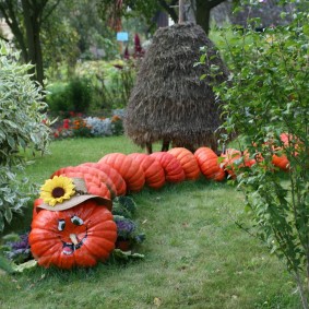 ตกแต่งสวน DIY