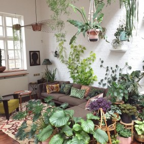 สวนฤดูหนาวในการตกแต่งภายในห้องนั่งเล่น