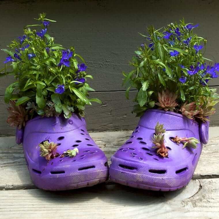 פרחי גן בגלוסים ישנים
