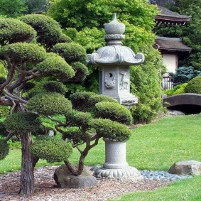 ภูมิทัศน์ของพล็อตการออกแบบภาพ 15 เอเคอร์